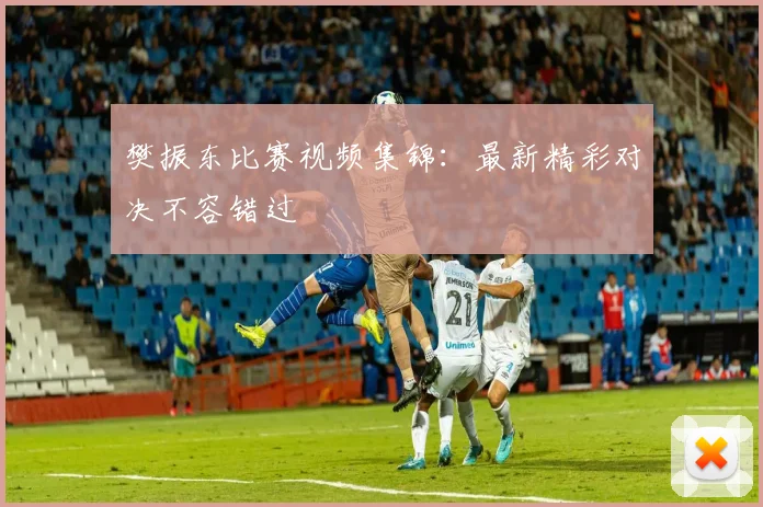樊振东比赛视频集锦：最新精彩对决不容错过