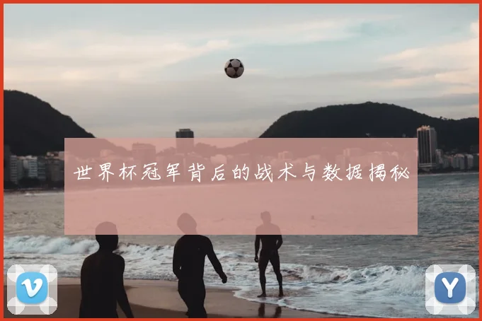 世界杯冠军背后的战术与数据揭秘
