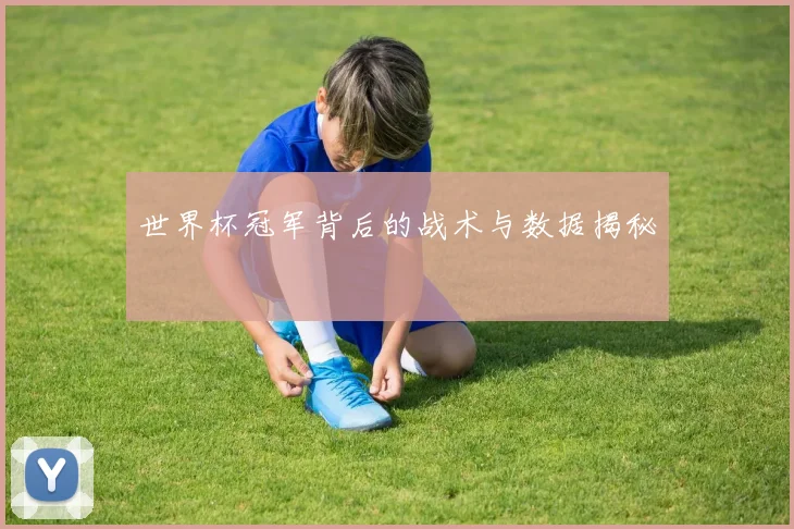世界杯冠军背后的战术与数据揭秘