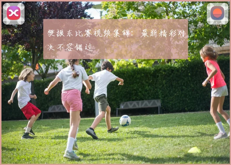 樊振东比赛视频集锦：最新精彩对决不容错过