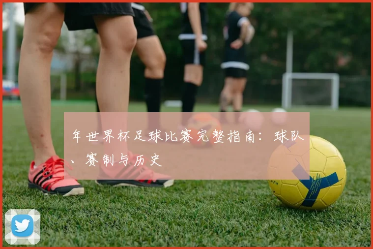 年世界杯足球比赛完整指南：球队、赛制与历史